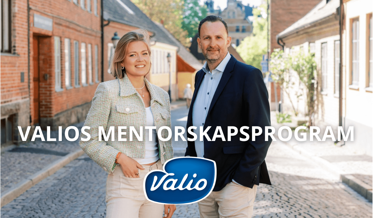 Valios Mentorskapsprogram 2025